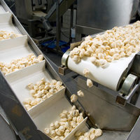 Food Processing